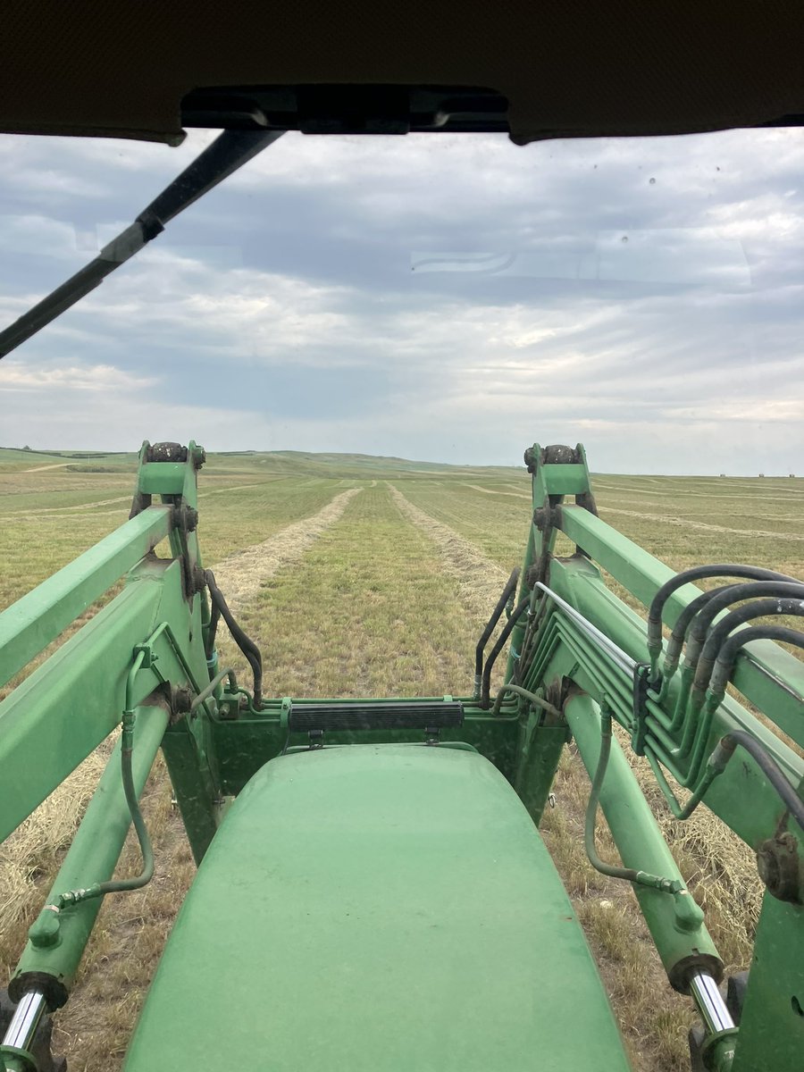 Chrisnoll_Sask's tweet image. Telling someone from Manitoba how you have to Rake 2 30ft swaths together to make a bale #haying
