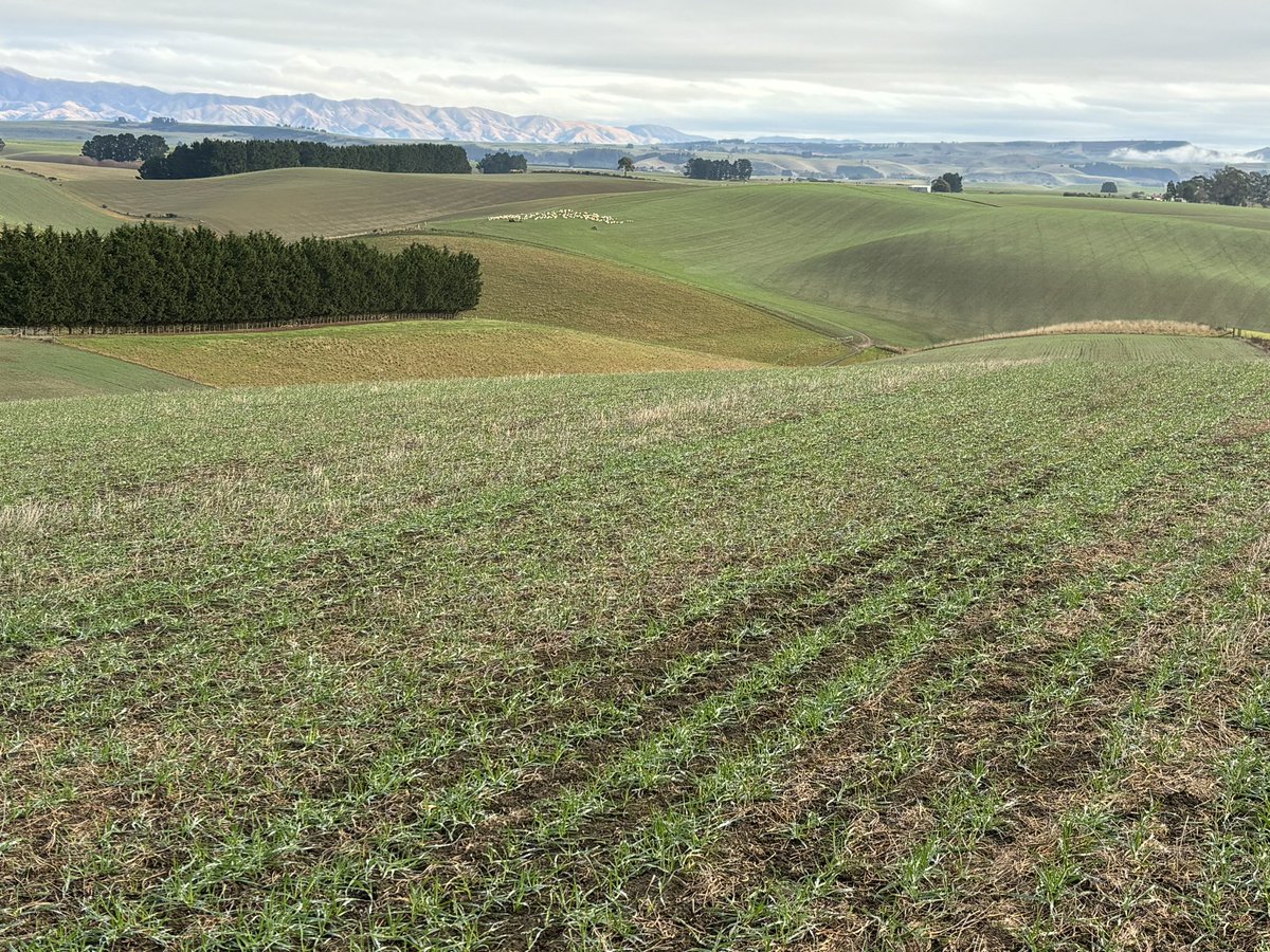 Mike Porter tweet media