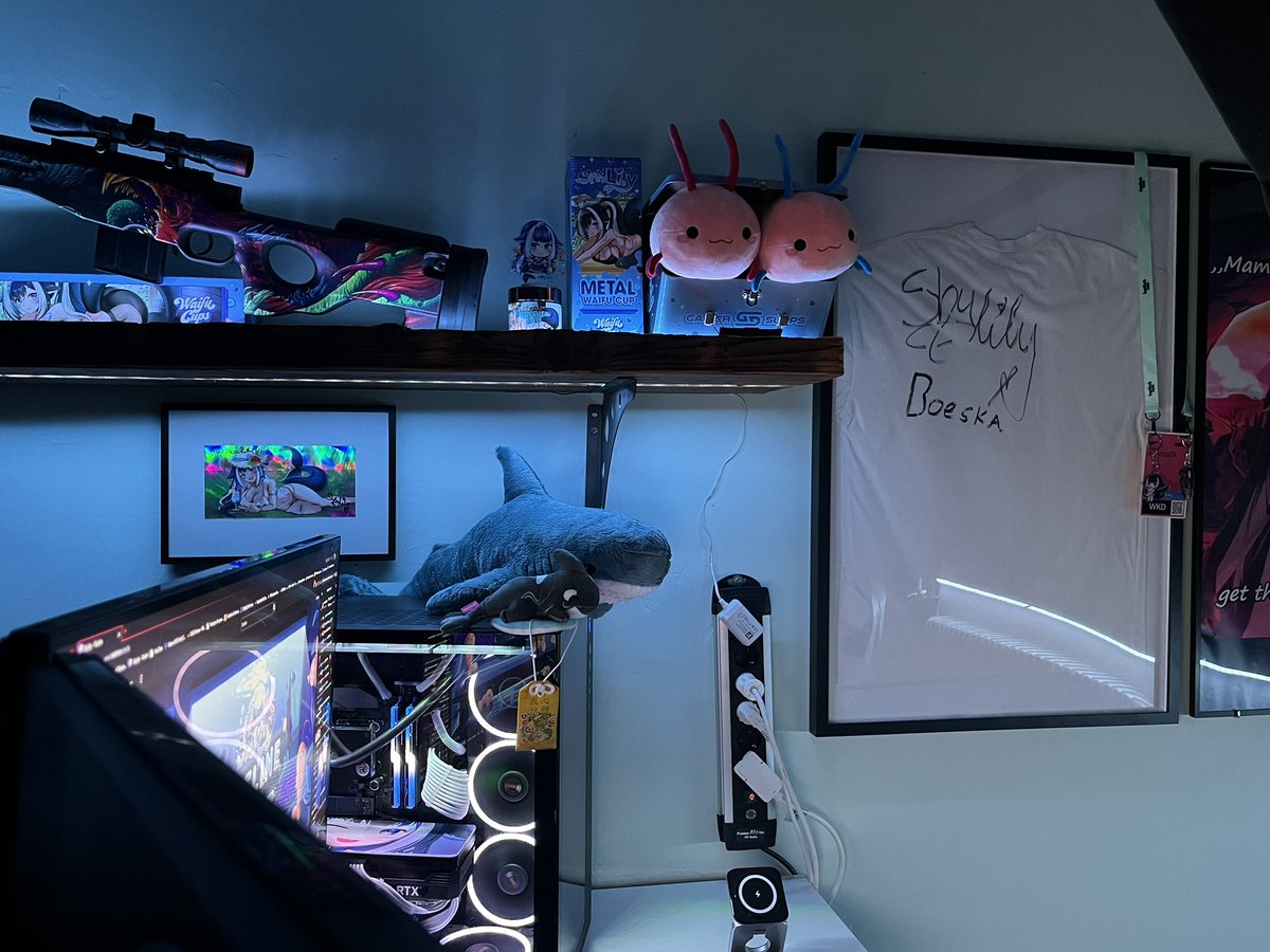 PrinzOfDESU's tweet photo. My Setup

Ayyy finally got time to hang up all the stuff from Twitchcon and @GamerSupps merch arrived as well🔥🙂‍↕️another great addition to my collection!! (And still not finished 🥹) Thanks to @shylilytwitch and Boeska for Signing and making TC special 💕
#ShylilyArt https://t.co/xN7afb9Krf