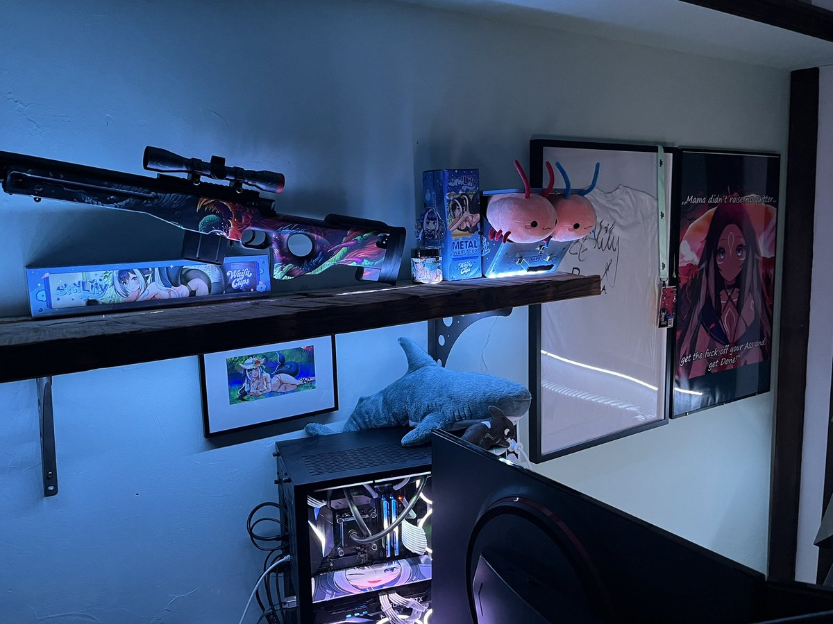 PrinzOfDESU's tweet photo. My Setup

Ayyy finally got time to hang up all the stuff from Twitchcon and @GamerSupps merch arrived as well🔥🙂‍↕️another great addition to my collection!! (And still not finished 🥹) Thanks to @shylilytwitch and Boeska for Signing and making TC special 💕
#ShylilyArt https://t.co/xN7afb9Krf