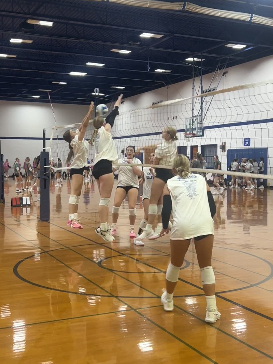 Linn-Mar Volleyball tweet media