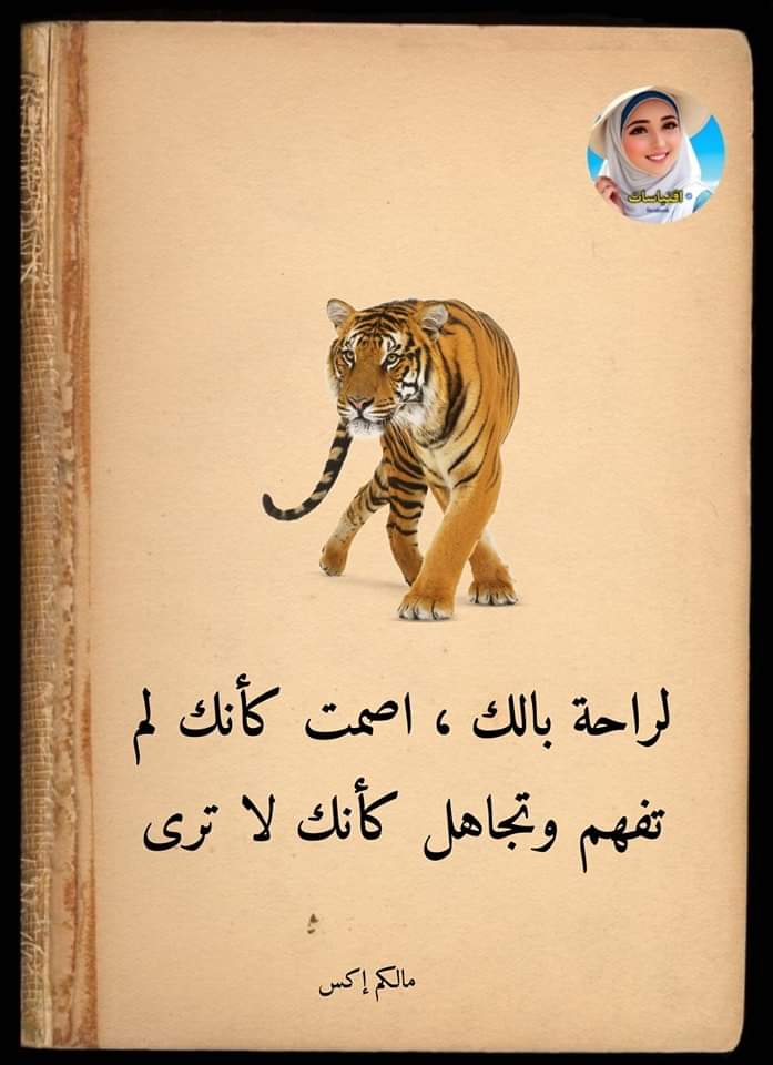 ayman_1032002's tweet photo. https://t.co/Nculnhij6v