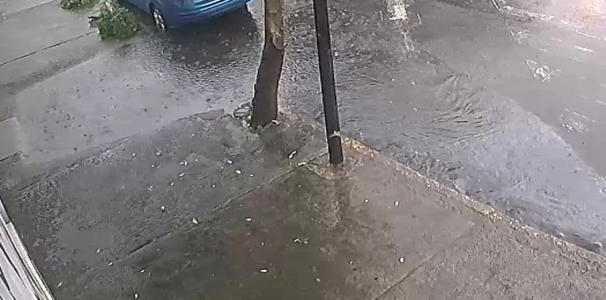 Maresi_'s tweet photo. @VcCesac, se requiere de su apoyo para darle atención al sistema de drenaje ubicado en la esquina albañiles 246 col. Azteca, en temporada de lluvia no logra ser suficiente para que el agua logre irse, ocasionando que la misma entre a los domicilios. https://t.co/uLcGjinuAz