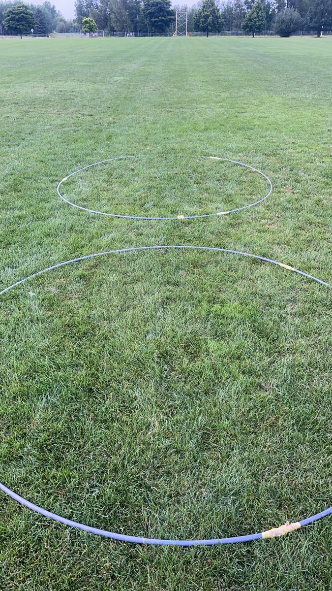 Hoops &amp; Wet Grass