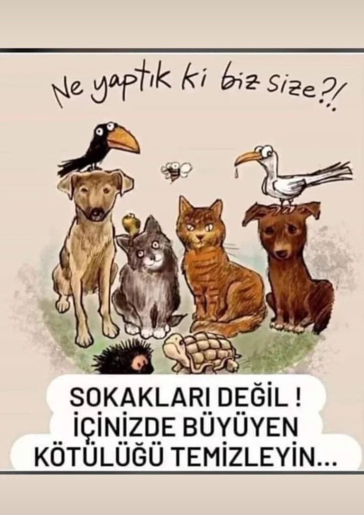 mlk_krdnz's tweet photo. #HayvanKatliamıİstemiyoruz 
#Hayvanlaradokunmayın 
#hayvanlaraadalet 
#hayvanlarincellatlariolmayın 
#köpek 
#kedi 
#kuş 
#kaplumbağa 
#kirpi 
#karga 
#arı 
#leylek https://t.co/awyqPN1hGc