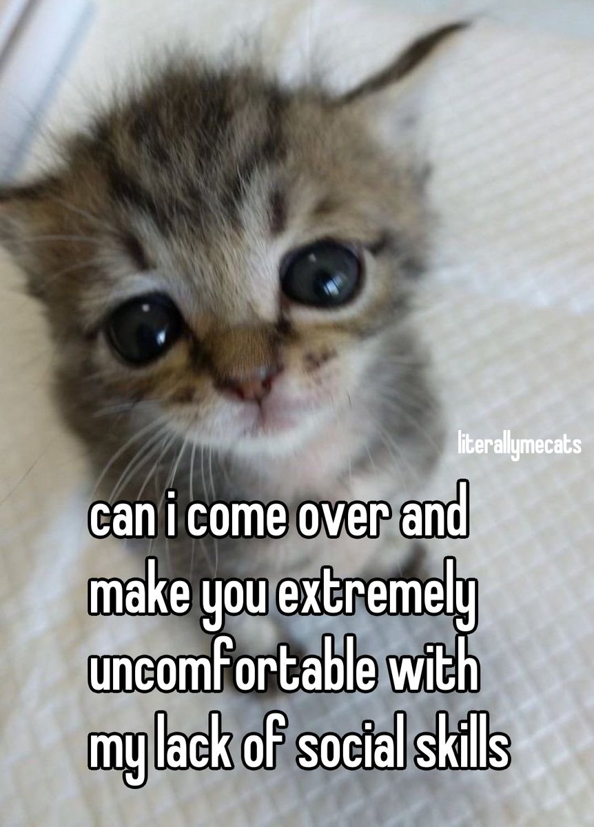 literallymecats's tweet image. 