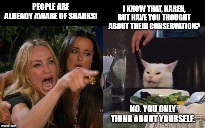 Happy #SharkAwarenessDay!