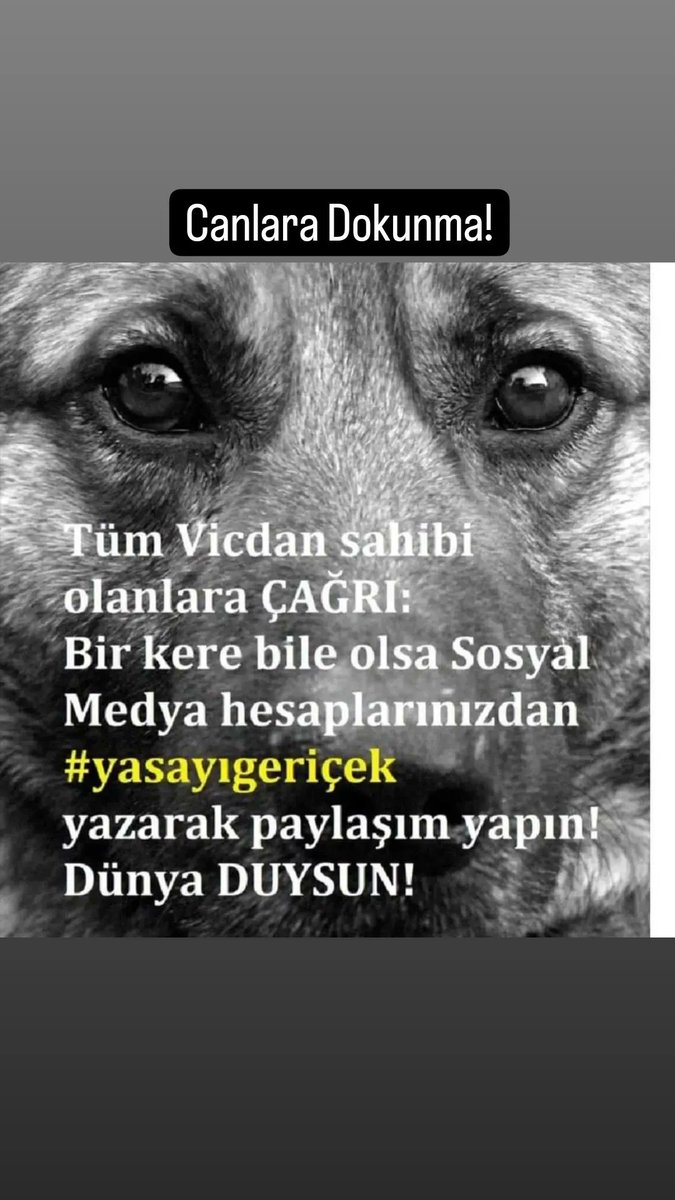 gonncapp's tweet photo. #YasayıGeriÇekKatliyamaHayır https://t.co/5Fdou2bpUk