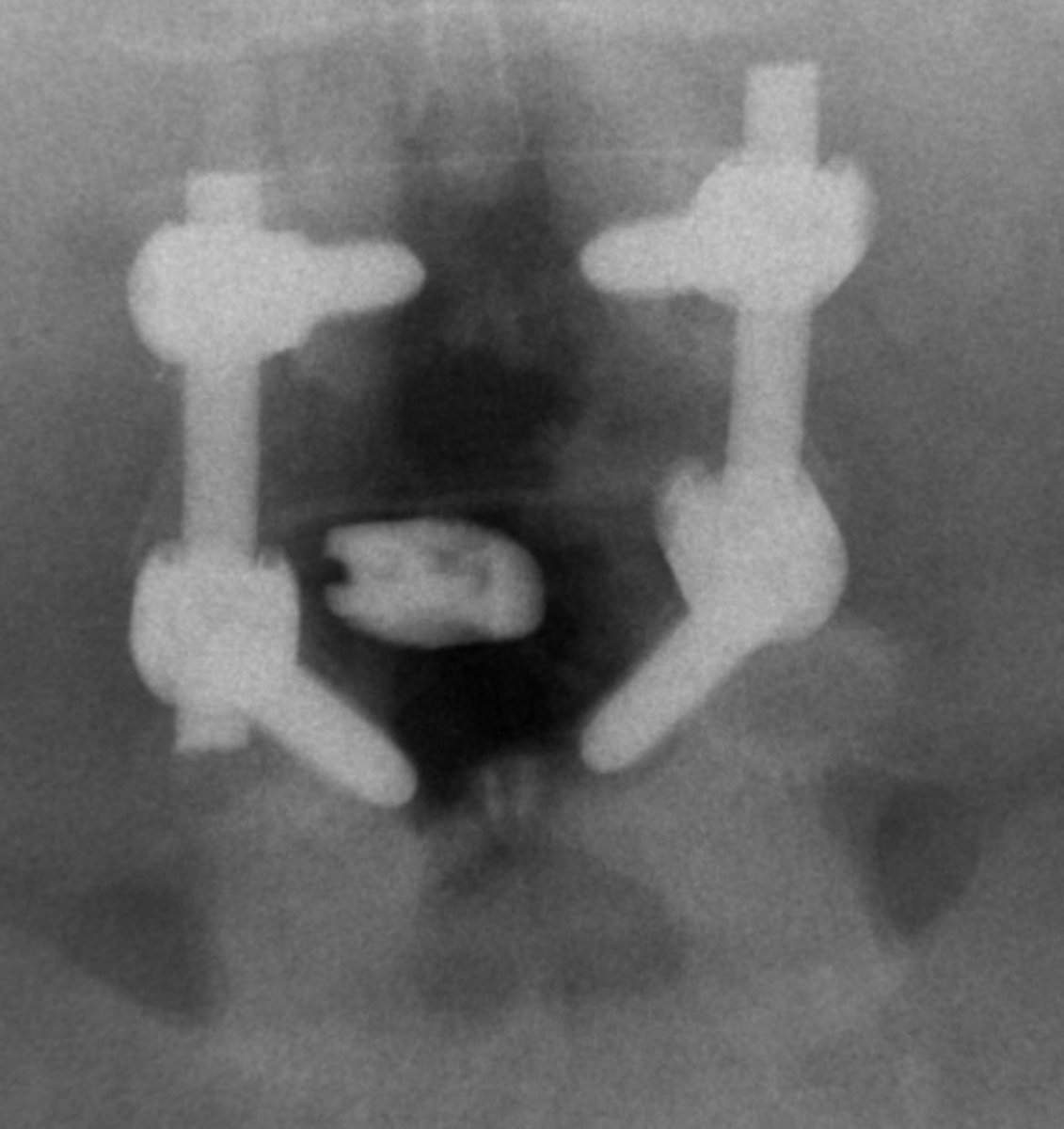 Fauzan A. Hashmi tweet media