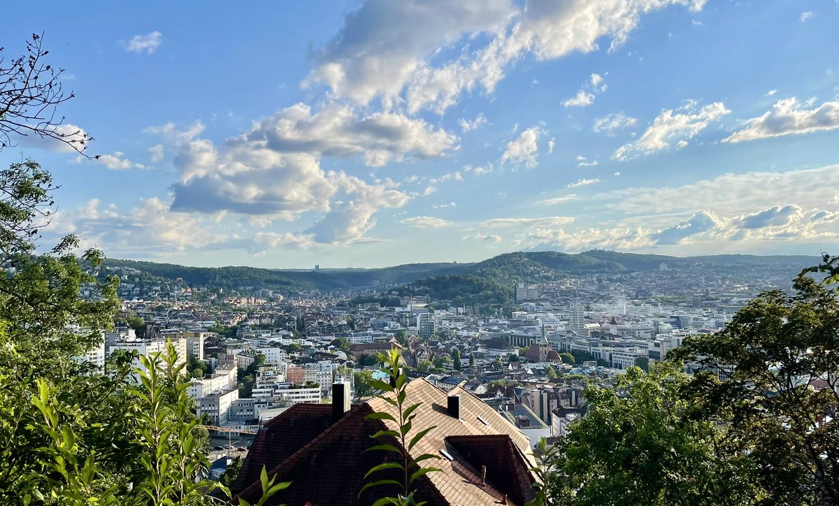 AlessandroFontanella tweet media