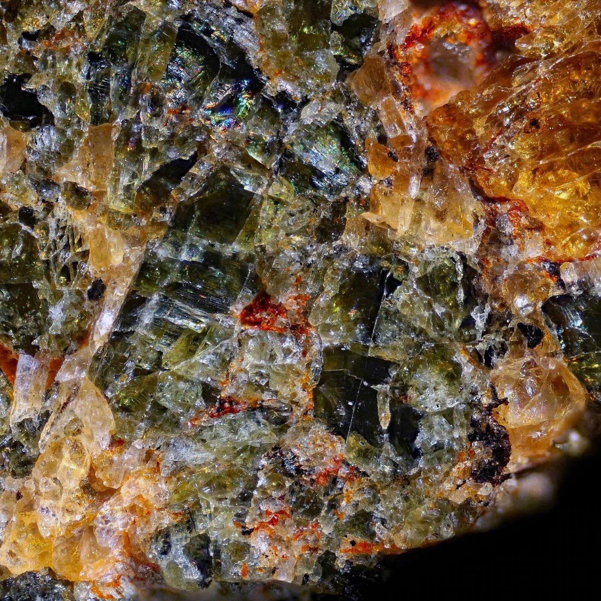 Crypt0_SH's tweet photo. ☄️#نيزك مريخي : Martian (nakhlite)
NWA 15364
 لم يلاحظ السقوط .  يعتقد أنه تم العثور عليه في #الجزائر وتم شراؤه في فبراير 2022 من تاجر #موريتاني 
#الاحتياطي_العام #اسبانيا #الامارات #البحرين #العباس #القاسم #المواجهه_مع_فايق #إنجلترا #الطفل_السعودي #أمريكا https://t.co/FDy8lSEM6B