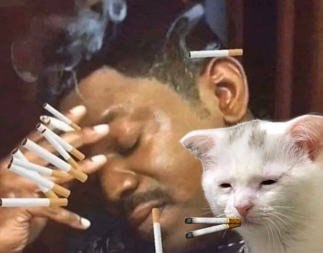 <a href="/metaversejoji/">joji</a> yeah I’d be $tired too 🚬🐱