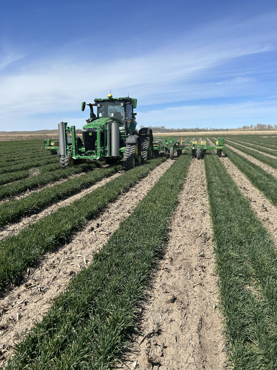 Nolan High tweet media