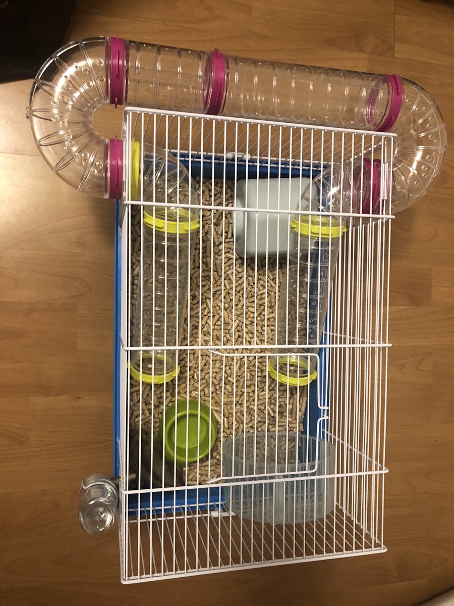 tdh🇮🇱 tweet media