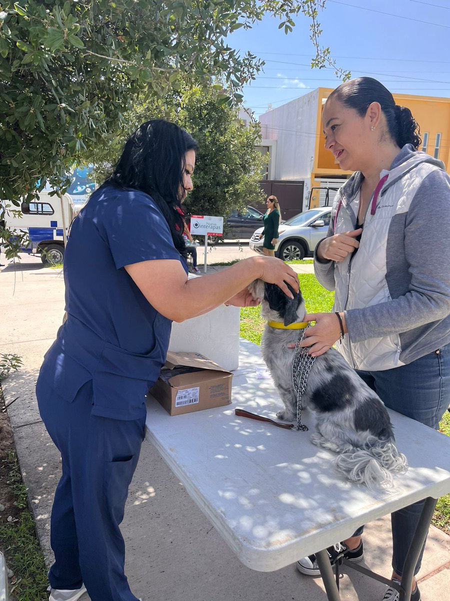 Bienestar Animal Municipal SLP tweet media