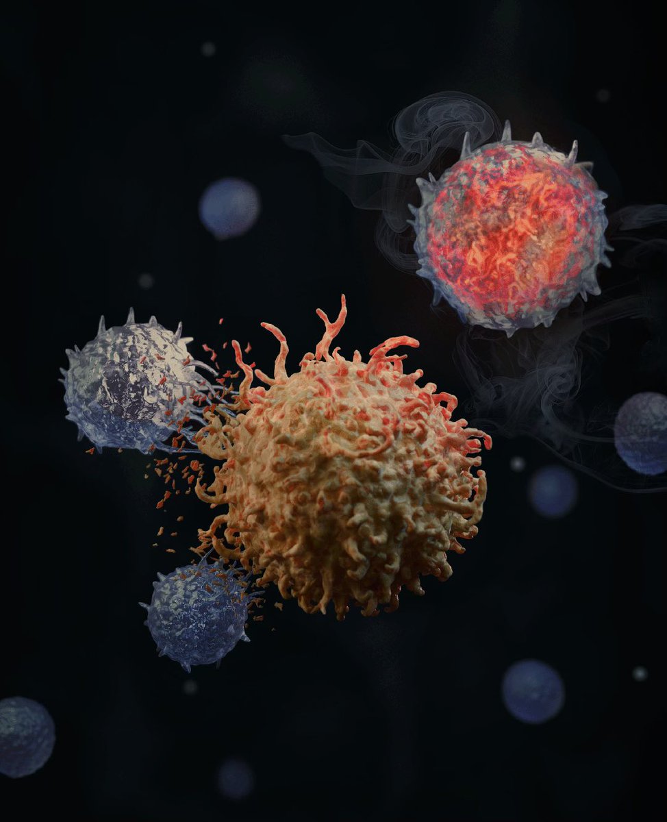 iannisaifantis1's tweet image. Celebrating our first ever NK/tumor micro environment study that was just accepted for publication. Congrats to the impressive @HockemeyerKate and @nkourtis !! Beautiful art work by @EmmaVIDALL ! Stay tuned for more soon! #NKcells #stress #melanoma #Cancer