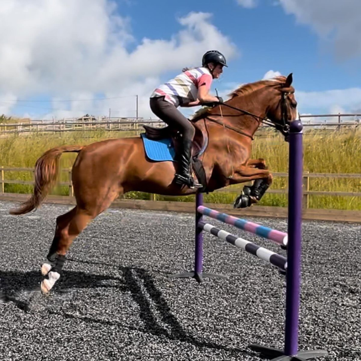 Back on top form, ready to get out competing again 🙌👍🐎 @CathLabNewbie