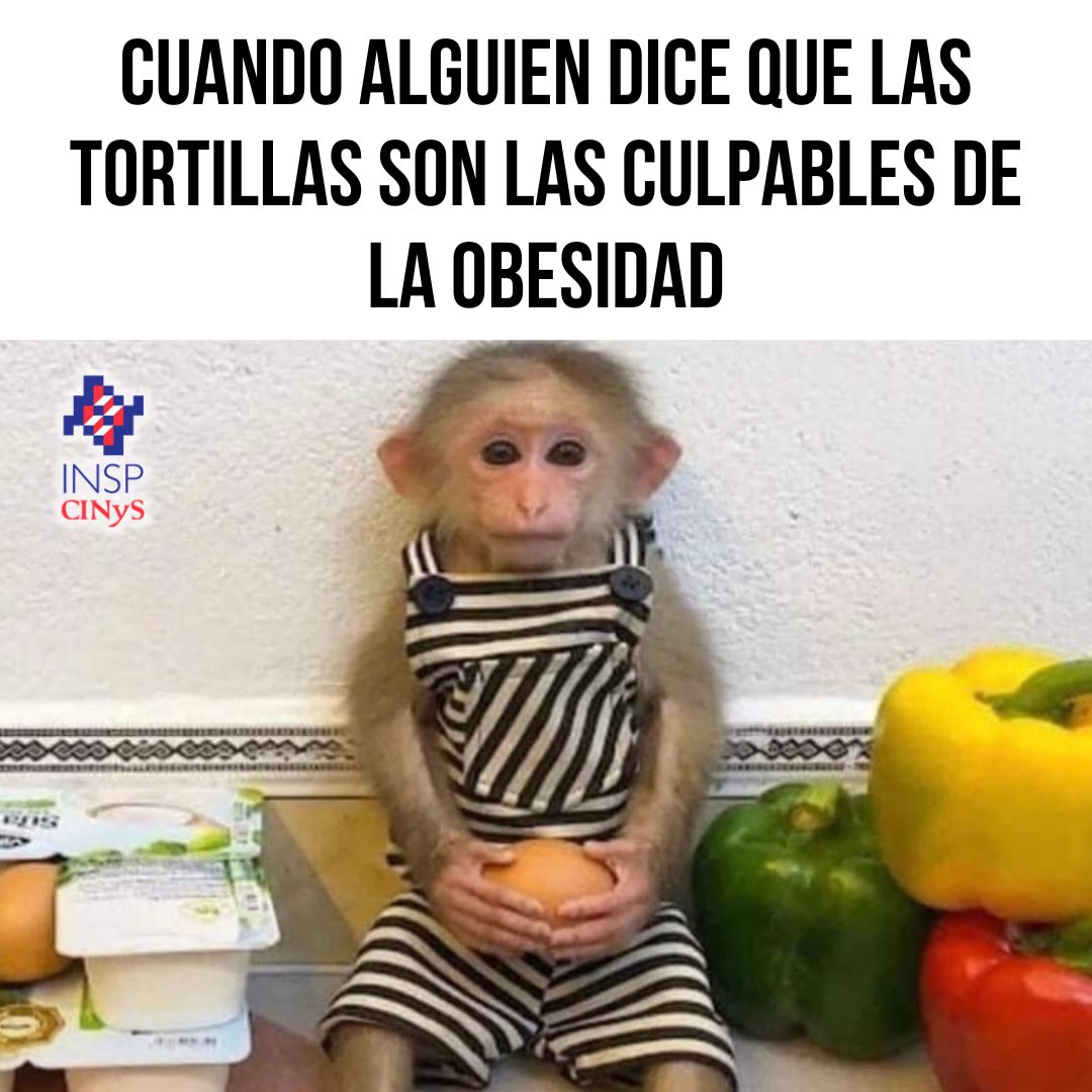 Las #tortillas son parte de la cultura alimentaria mexicana, siendo el #maíz la base de la alimentación tradicional. Este cereal es rico en fibra, vitaminas A, B y C, y minerales como potasio, calcio y fósforo. ¡No dejemos de consumirlas! 🙌🏽