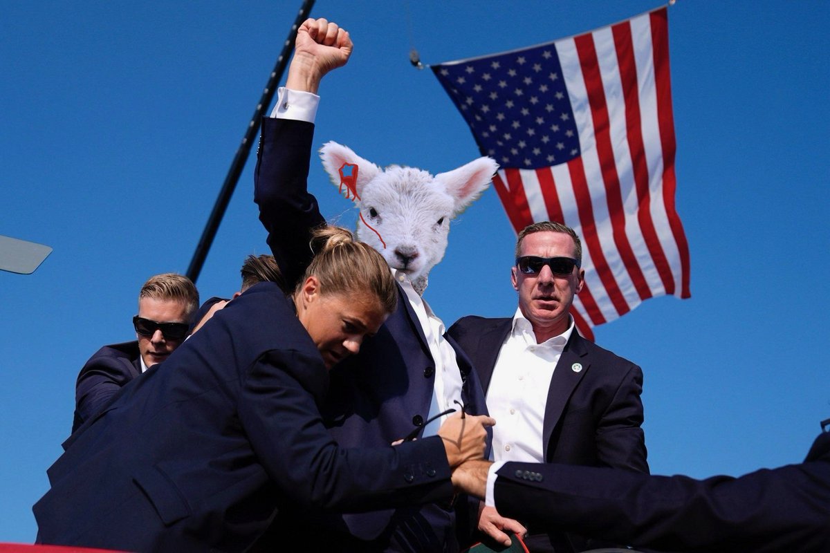 Comrade Lamb tweet media