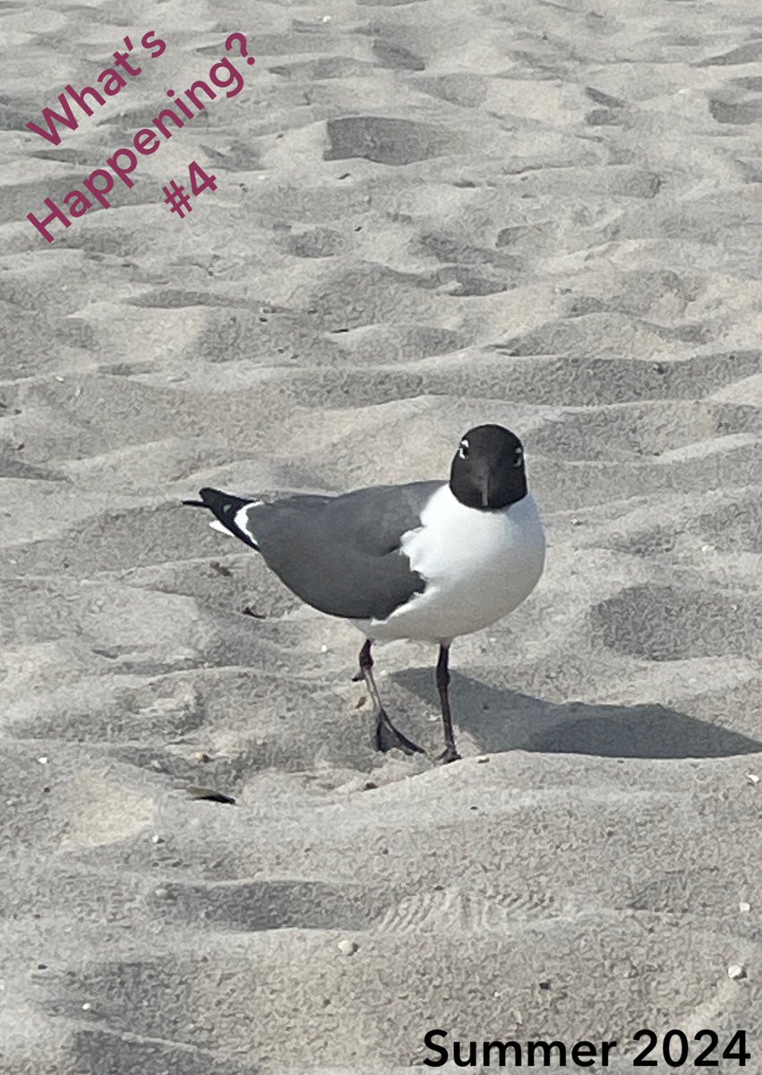 RLMsRYoder's tweet image. Summer Writing Challenge for LJM students who are headed to 4th grade this fall, show me that creative writing! What’s Happening # 4