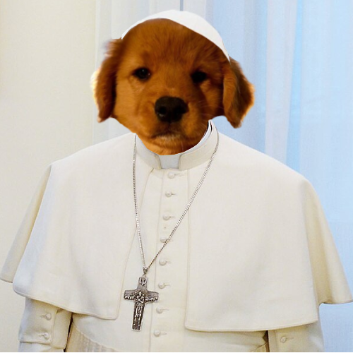 BOB THE POPE tweet media