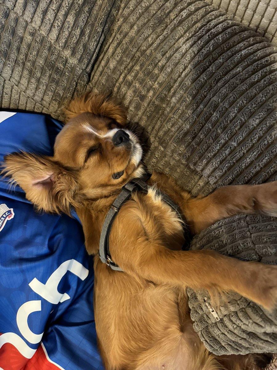 Millie peaked too soon 😂 @Marist_Sport