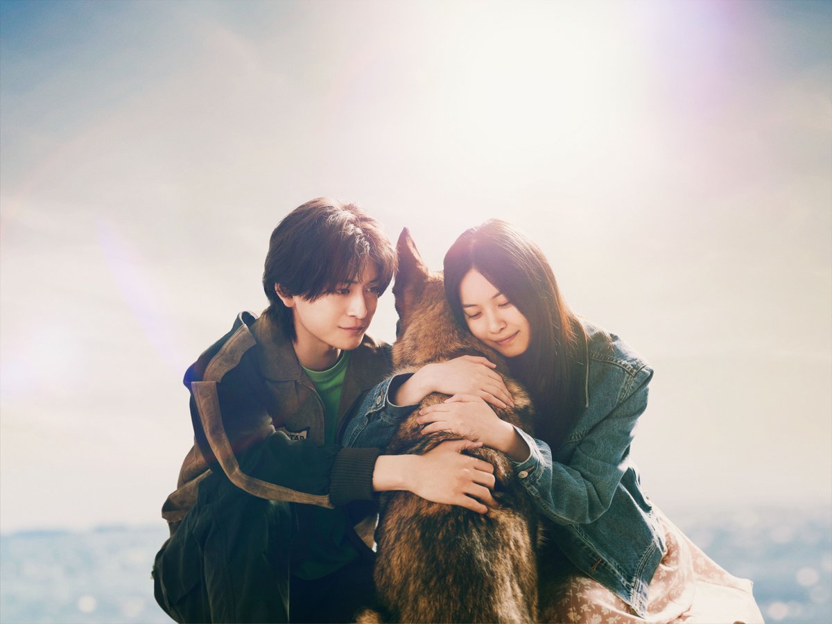 modelpress's tweet photo. 高橋文哉＆西野七瀬、初共演でW主演
直木賞受賞「少年と犬」実写映画化

「ラーゲリより愛を込めて」
瀬々敬久監督ら製作スタッフ再集結🎬️

現代版「フランダースの犬」と話題💭
一匹の犬が起こした奇跡の物語

🔻2025年春公開／コメント
https://t.co/KLGg6X5QCI

#少年と犬 #高橋文哉 #西野七瀬 https://t.co/MnXIujQhqK