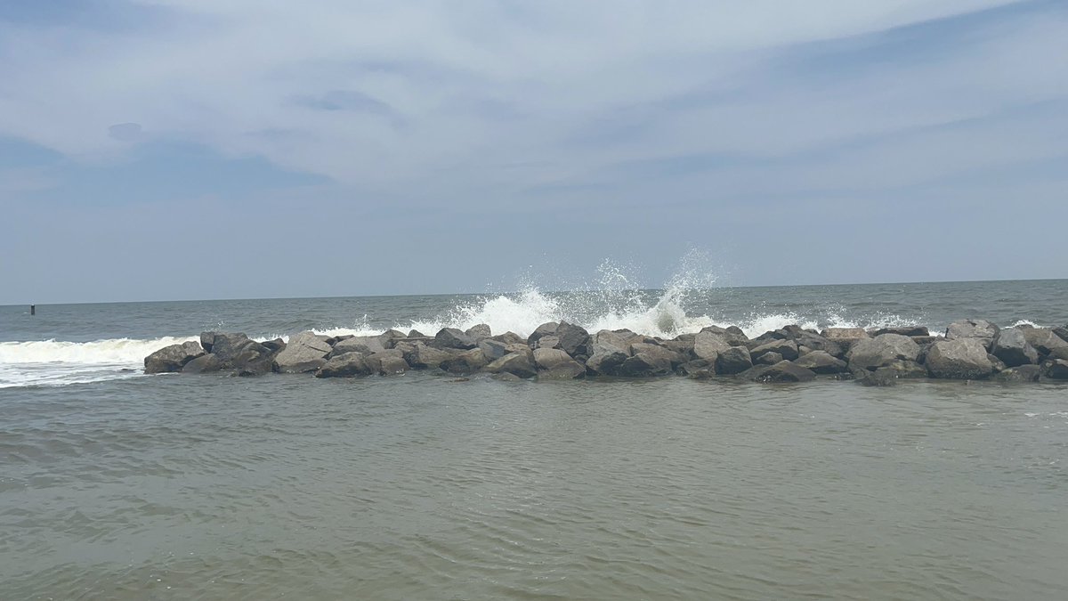 Josh Wall tweet media