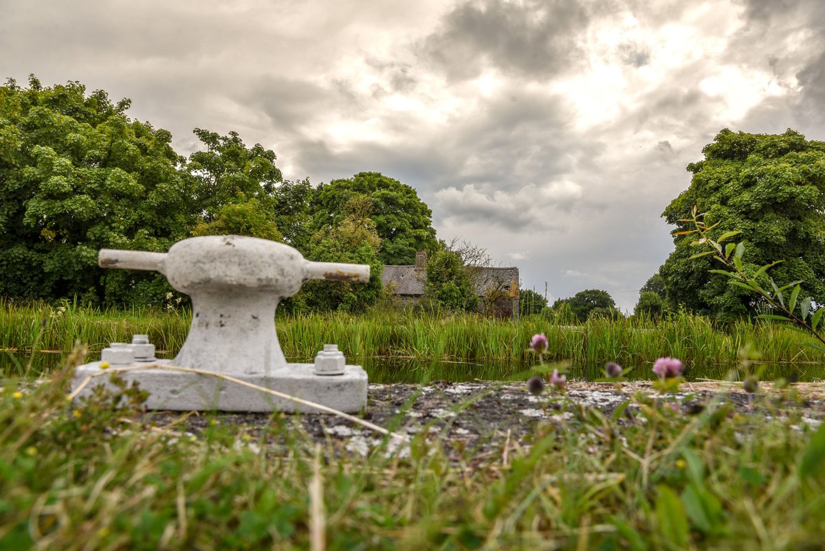 Kenneth Gallery Smyth tweet media