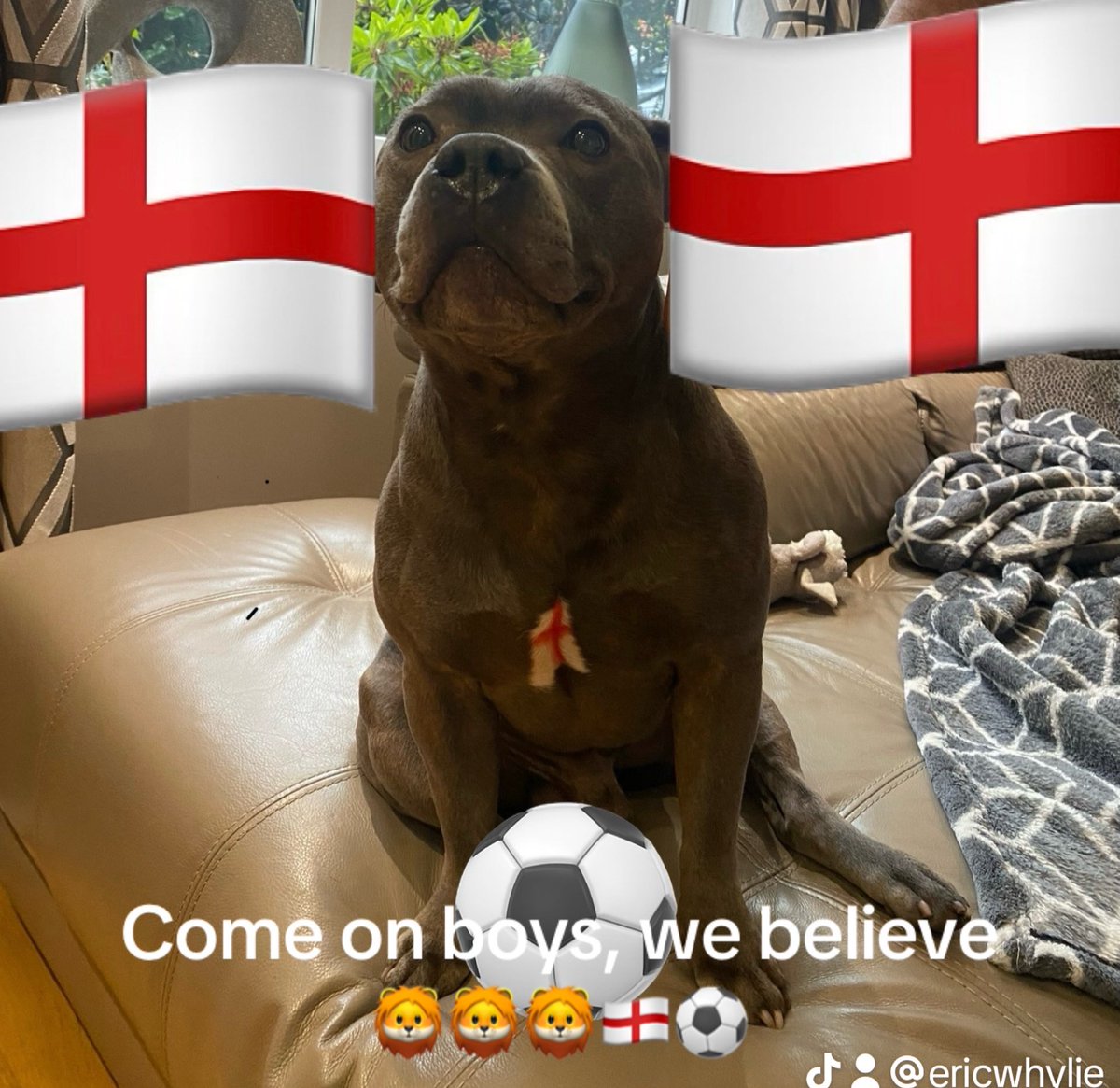 Paula Whylie 💜 The fluffy stuff IS THE hard stuff tweet media