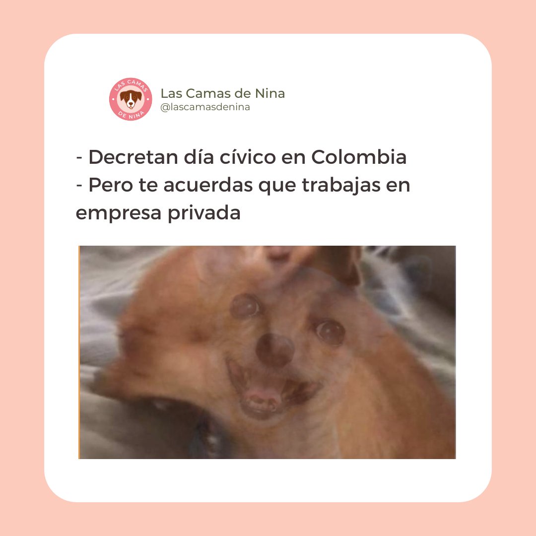 ivonnegobz's tweet photo. Comparte este gatito de la suerte 🇨🇴
#vivacolombia #ColombiaALaFinal https://t.co/45vs50WvHn