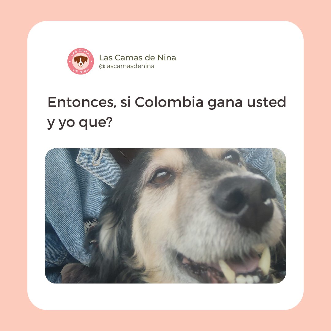 ivonnegobz's tweet photo. Comparte este gatito de la suerte 🇨🇴
#vivacolombia #ColombiaALaFinal https://t.co/45vs50WvHn