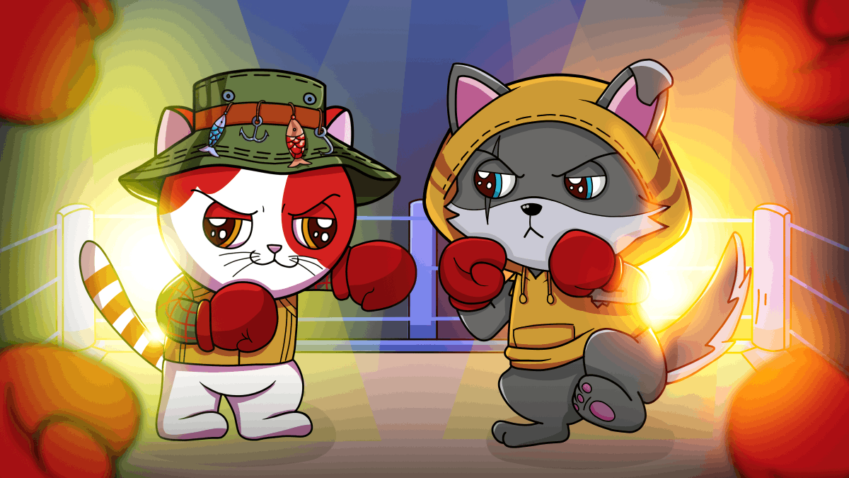 Kai Cat Coin tweet media