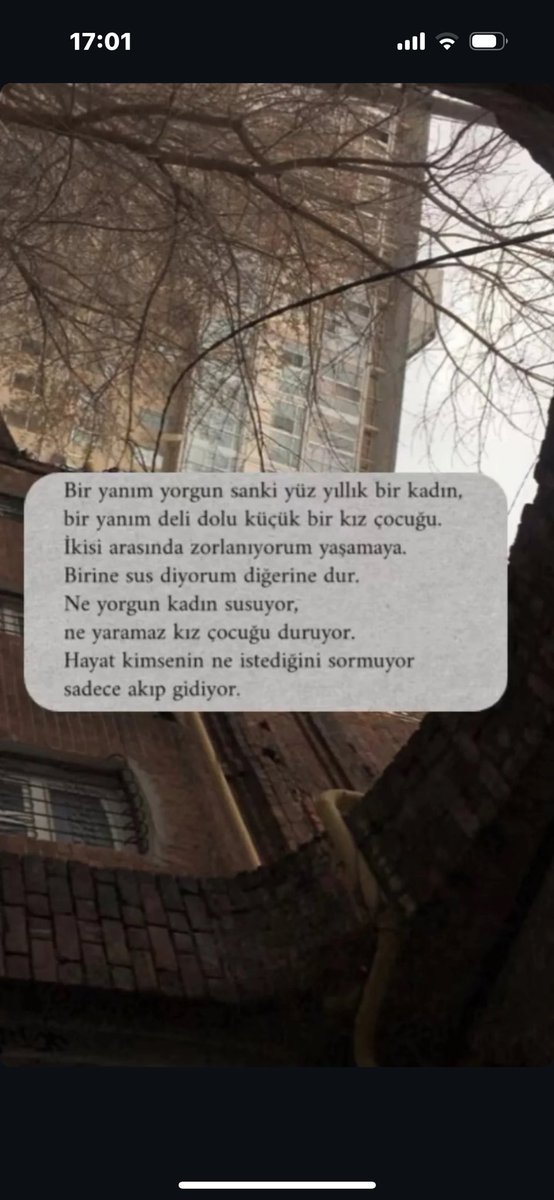 Sevdaa🦋 (@sevdaamavi) on Twitter photo 