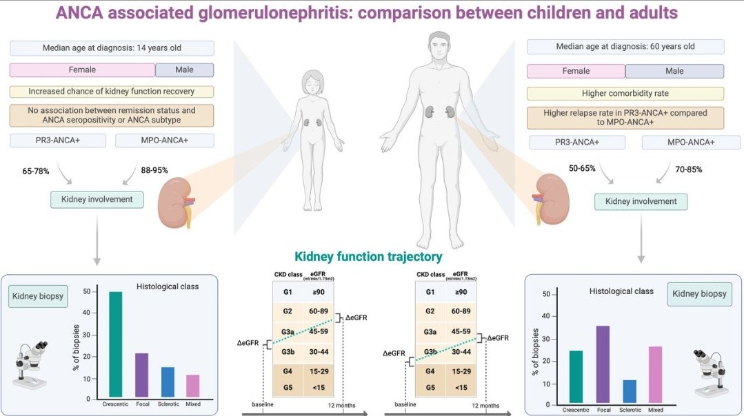 Autoinmunes Medicina Interna Parc Taulí tweet media