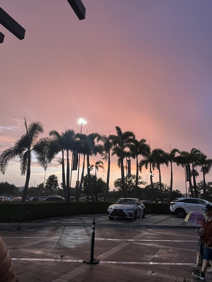 pureheartfox's tweet photo. nobody cares about fl sky more than me https://t.co/RvzpoQZHit