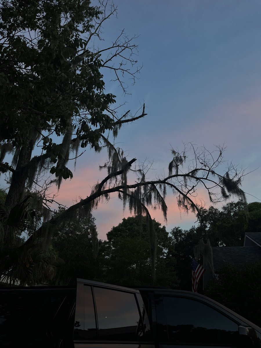 pureheartfox's tweet photo. nobody cares about fl sky more than me https://t.co/RvzpoQZHit