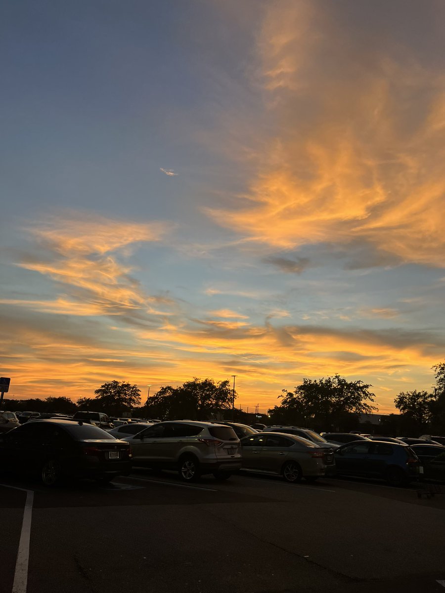 pureheartfox's tweet photo. nobody cares about fl sky more than me https://t.co/RvzpoQZHit