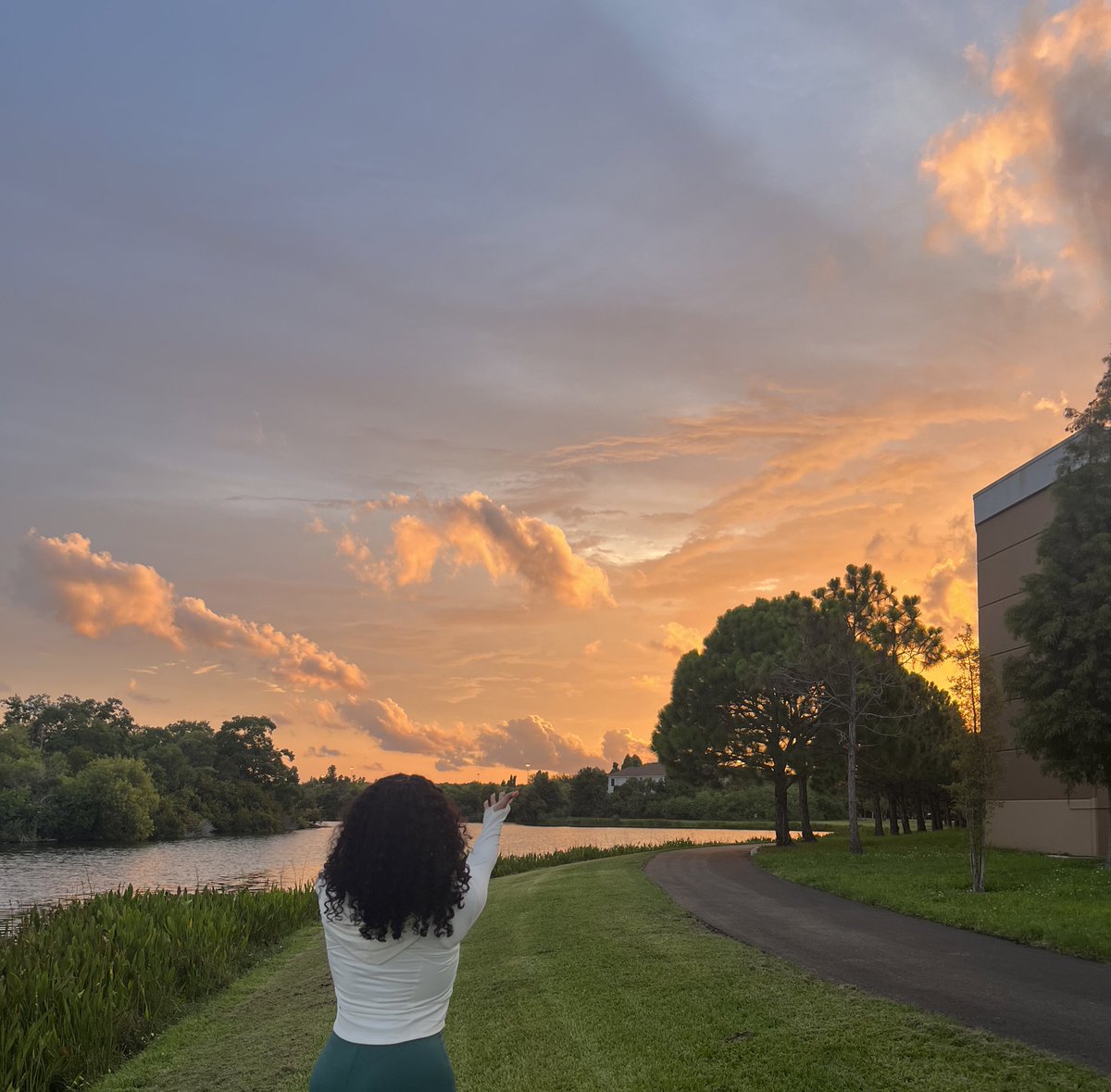 pureheartfox's tweet photo. nobody cares about fl sky more than me https://t.co/RvzpoQZHit