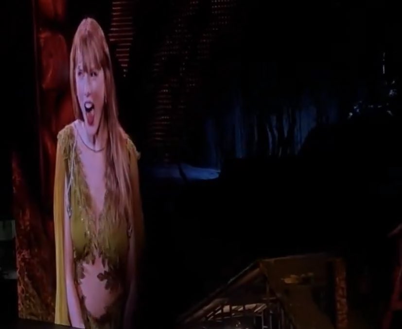 itstimetosimp's tweet photo. Il mio animale preferito è Taylor Swift con i fan italiani  #MilanTSTheErasTour https://t.co/gW5ia7MZ2B