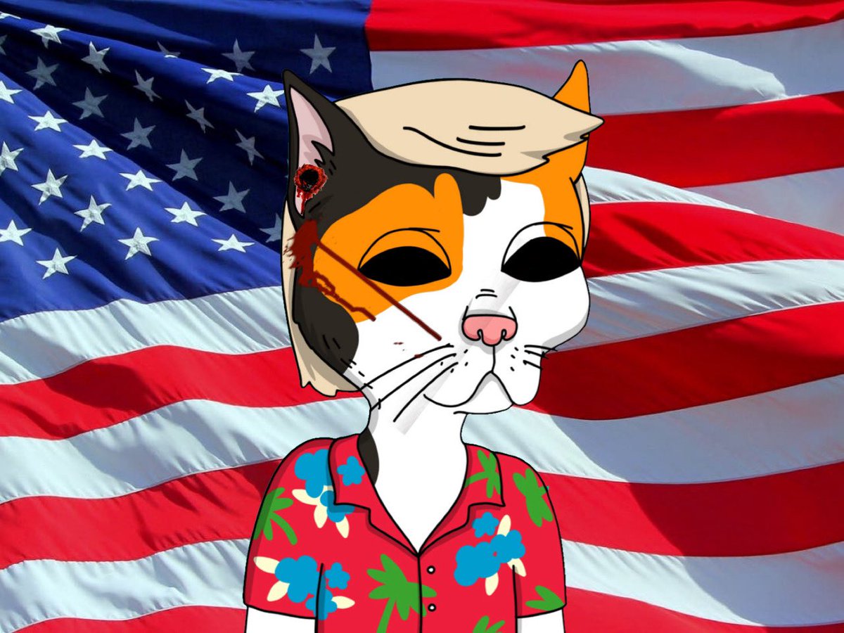 USA 🇺🇸 USA 🇺🇸 USA 🇺🇸