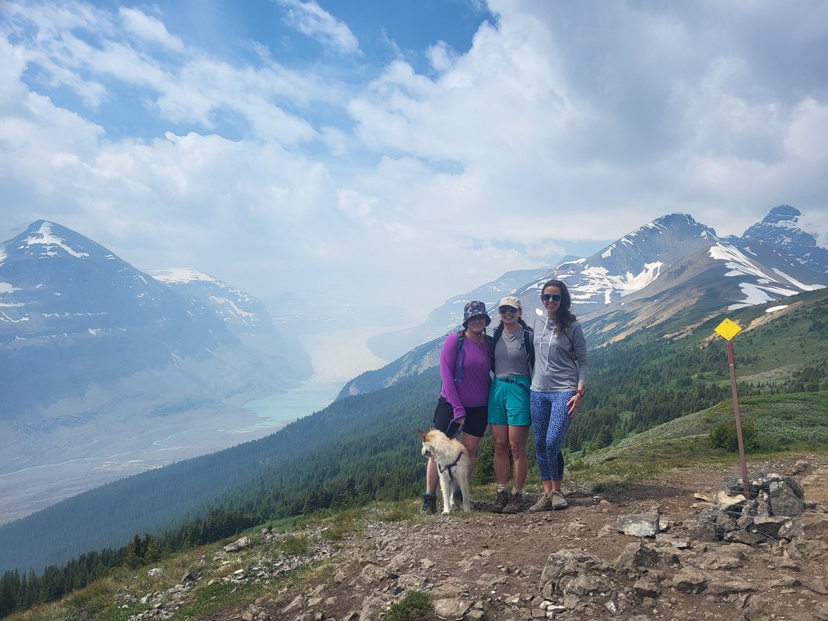 SarahRyanYEG's tweet photo. Having an excellent time camping in #Jasper. Cruised down the #IcefieldsParkway yesterday to hike #ParkerRidge and climbed #EdithCavell Meadows the day before. The wildflowers are in full bloom! @JasperNP https://t.co/wnbDxAgeg3