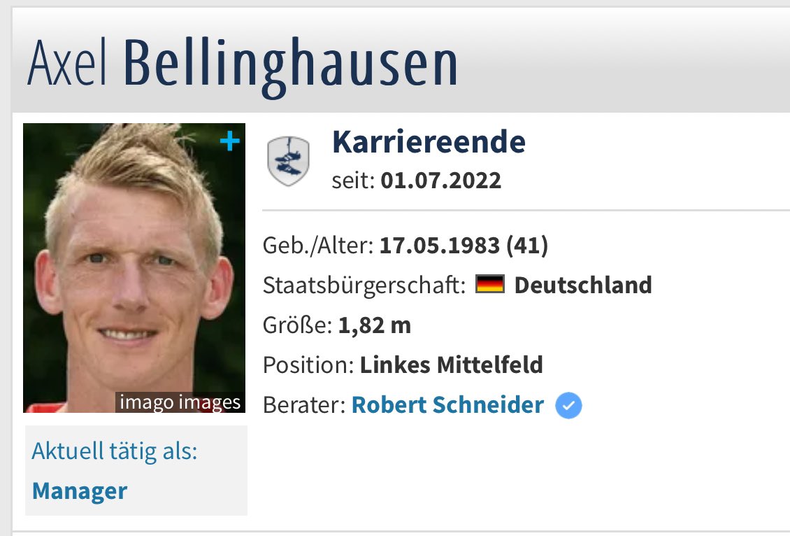 die steißbeine tweet media