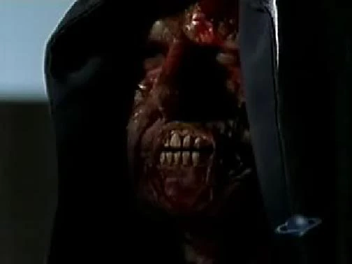 TheRealGOTR's tweet image. Call me selfish but what I really want to see is a #Sliders and #FirstWave crossover where the 1st season cast meets up with Cade Foster and the Raven nation to take on the Gua/Kromagg coalition on Earth 666.