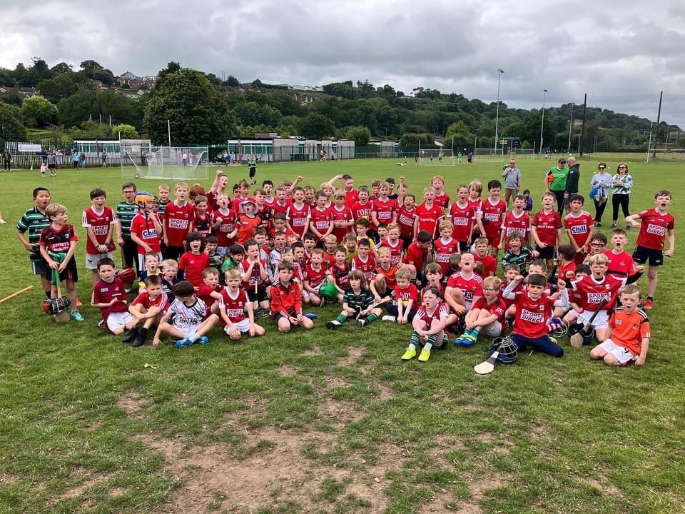 DouglasGAAClub tweet media