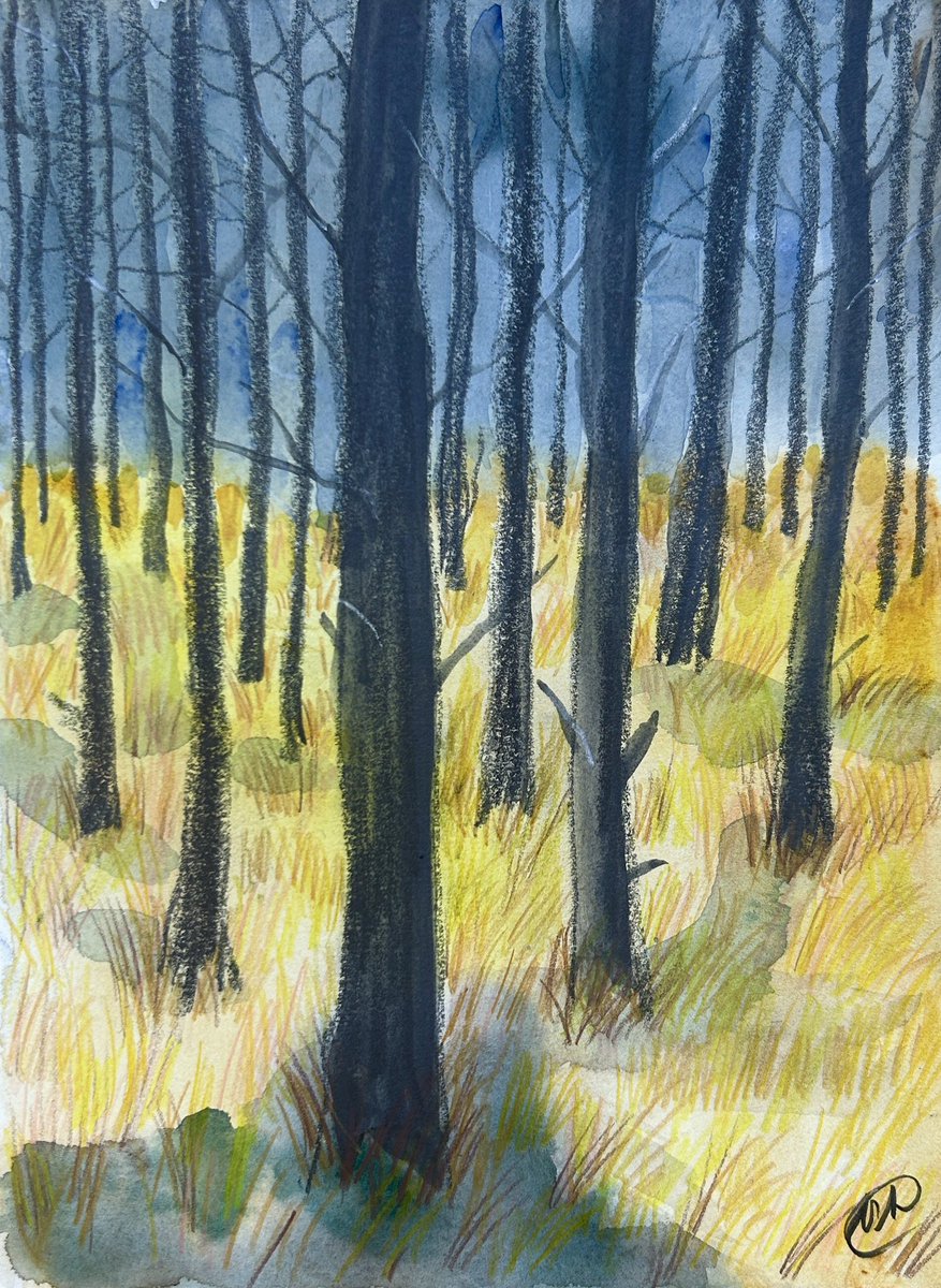 M.L.KappaArtist tweet media