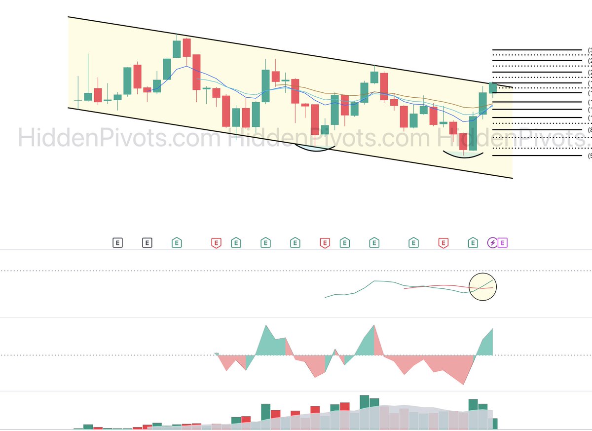HiddenPivots tweet media