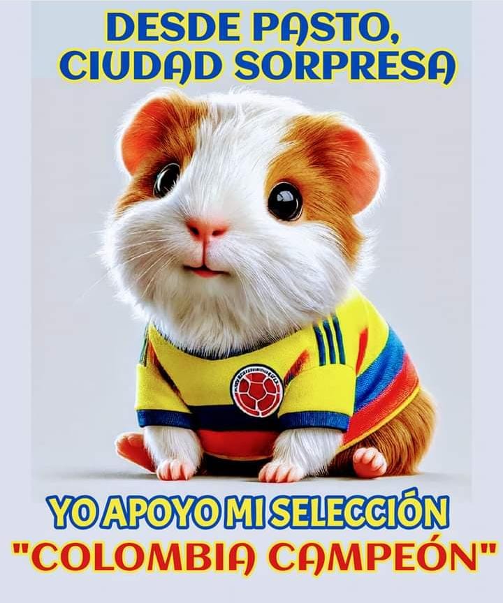 casantd's tweet image. #ConLaTricolorPuesta 💛💙❤️