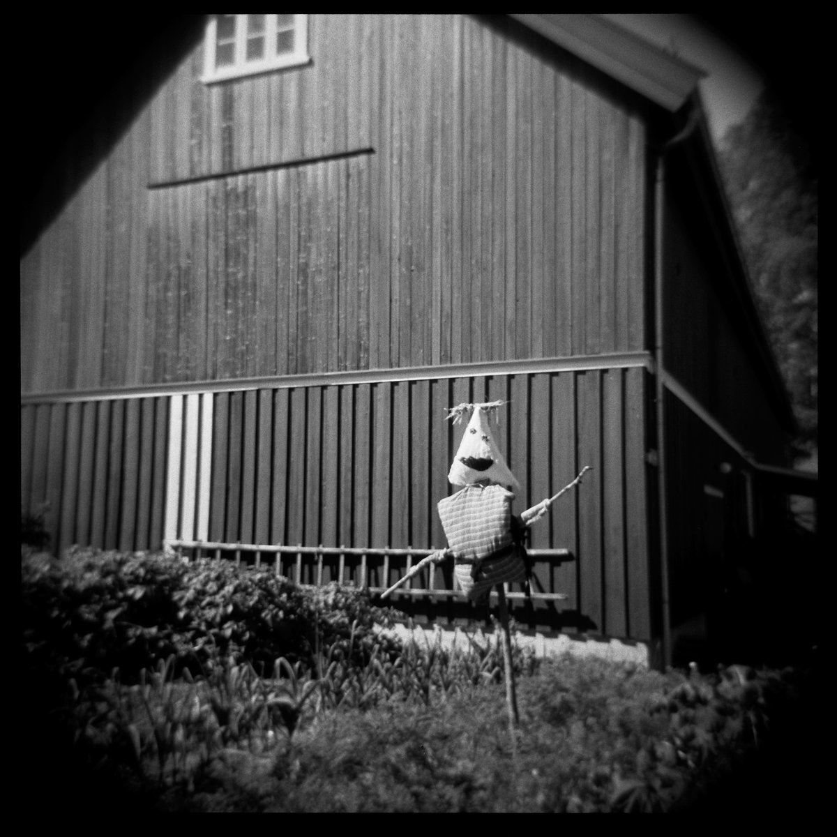 And_rew_Wilson's tweet photo. I used this alongside my high-tech DSLR, and there were situations like these where I was happy with how they turned out - not necessarily "better" than the clean and clear digital photos, but complimentary to them, giving a different viewpoint and feel of the same journey. https://t.co/1iXEZ4kpMT