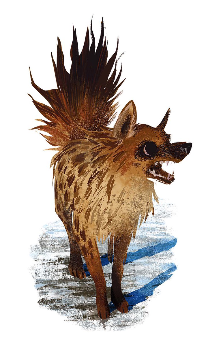 Electus2020 (@colingoldstein3) on Twitter photo 